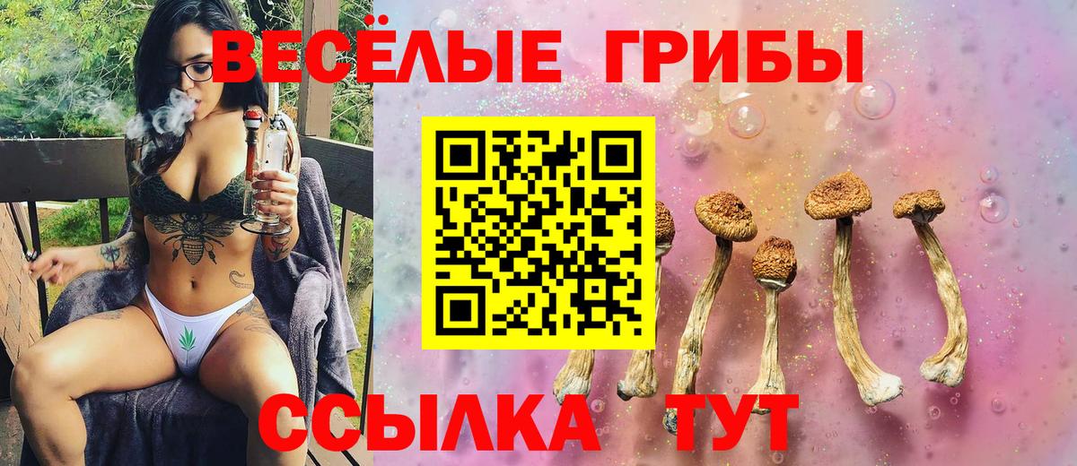 Галлюциногенные грибы GOLDEN TEACHER  Вход с VPN  Белорецк 