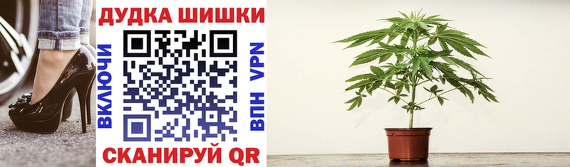 блэк спрут онион  Белорецк  Каннабис индика 